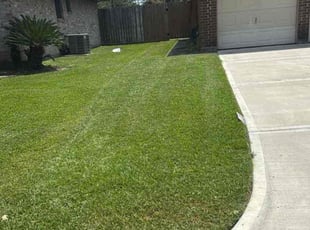 Claudia Z.'s grass maintenance service result