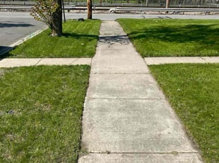 Gustavo W.'s lawn care service result