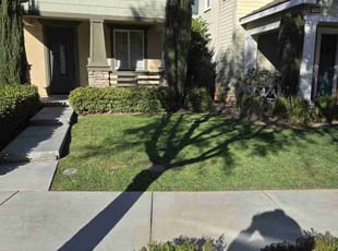 Patricia C.'s lawn service service result