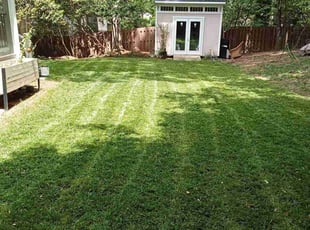 Kelley W.'s grass maintenance service result