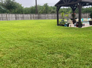 Brian L.'s grass maintenance service result