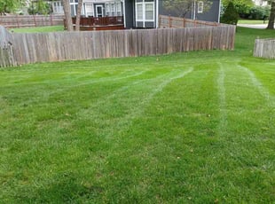 Gene A.'s turf care service result