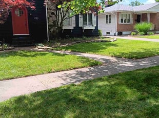 Angela C.'s turf care service result