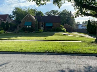 Kimani K.'s lawn care services service result