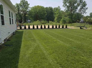 Mary D.'s grass cutting service result