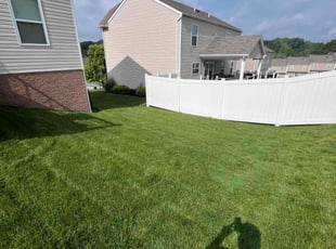 Leon S.'s turf maintenance service result