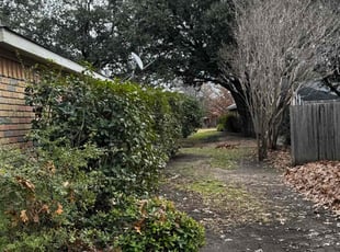 Amy R.'s Leaf Removal service result