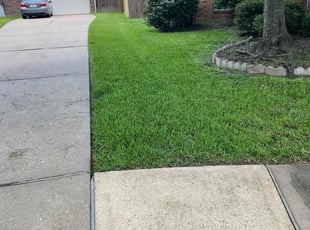 Beverly B.'s Long Grass Cleanup service result