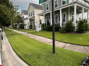 Thomas L.'s grass cutting service result