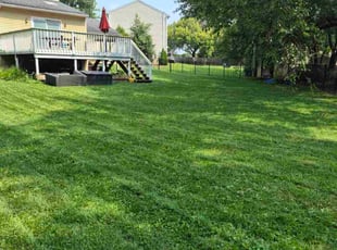 Lori H.'s turf care service result