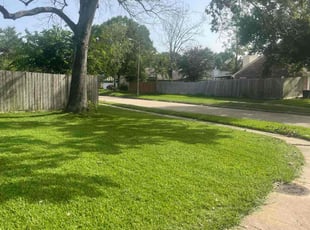 John C.'s turf care service result