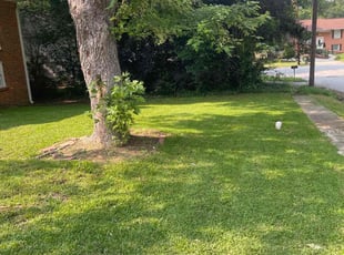 Roseann E.'s turf maintenance service result