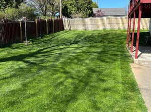 Marty O.'s grass maintenance service result