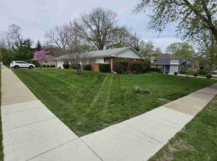 Andy P.'s lawn care service result
