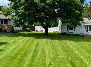 Kerra H.'s lawn care service result
