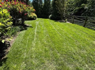 Robert C.'s grass maintenance service result