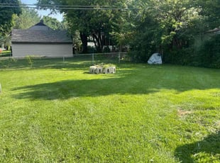Allison R.'s lawn care services service result