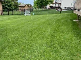 Anuj U.'s lawn care service result