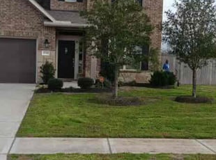 Mark W.'s lawn maintenance service result
