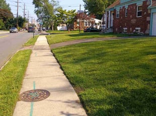 Carol C.'s turf care service result