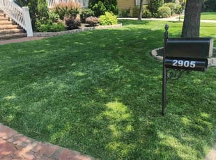 Kiara B.'s turf maintenance service result