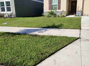 John K.'s grass cutting service result