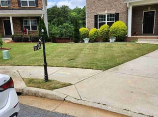 Jason S.'s grass maintenance service result