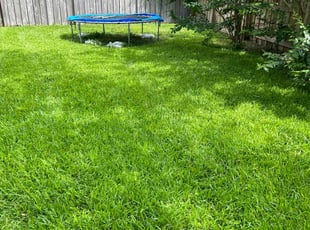 Derrick B.'s lawn care service result