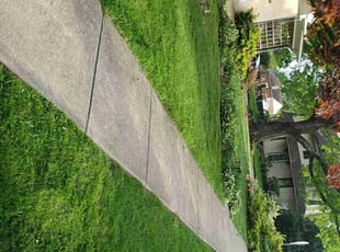 CANDACE W.'s grass cutting service result