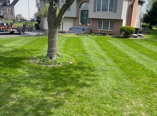 Heather D.'s grass cutting service result