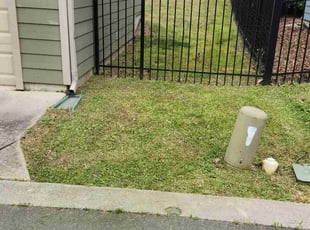 Amy R.'s turf maintenance service result