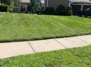 Nathan W.'s lawn care service result