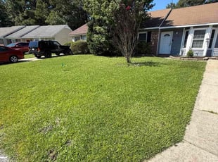 Kay B.'s grass maintenance service result