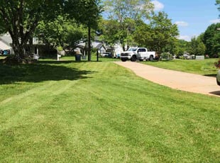 Pam L.'s grass cutting service result