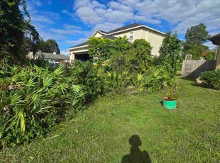 Victoria M.'s Bush Trimming service result