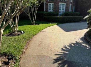 John S.'s grass maintenance service result