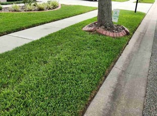 Kay C.'s lawn service service result