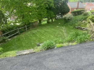 Toni P.'s lawn service service result