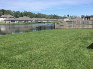 Destiney O.'s turf maintenance service result