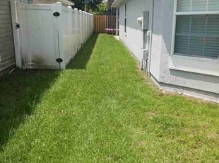 Darlene D.'s turf maintenance service result