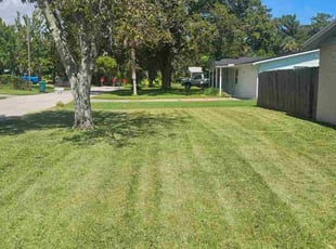 Ron B.'s lawn maintenance service result