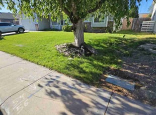 Rose F.'s grass cutting service result