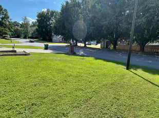Hamilton D.'s grass cutting service result