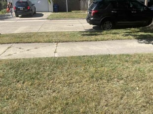 Tom O.'s turf maintenance service result