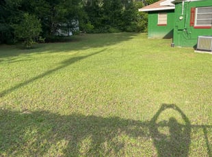 Michael S.'s turf care service result