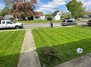 Kurt S.'s grass cutting service result