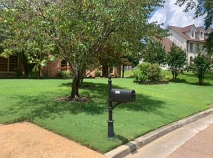 Chris H.'s lawn service service result