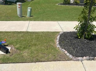 Timea W.'s lawn maintenance service result