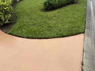 Lesley K.'s lawn service service result