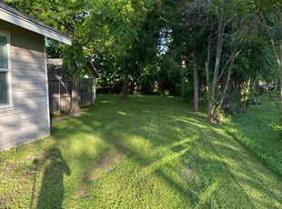 Dorian H.'s lawn service service result